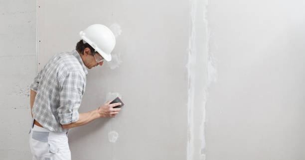 Best Air Quality Testing for Mold Spores  in Piedmont, SD