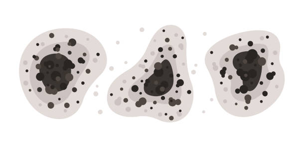 Best Mold Prevention Services  in Piedmont, SD